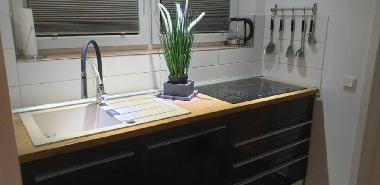 גוסלר Schicke Ferienwohnung Mit Harzblick Fuer 1-2 Oder 1-4 Personen מראה חיצוני תמונה